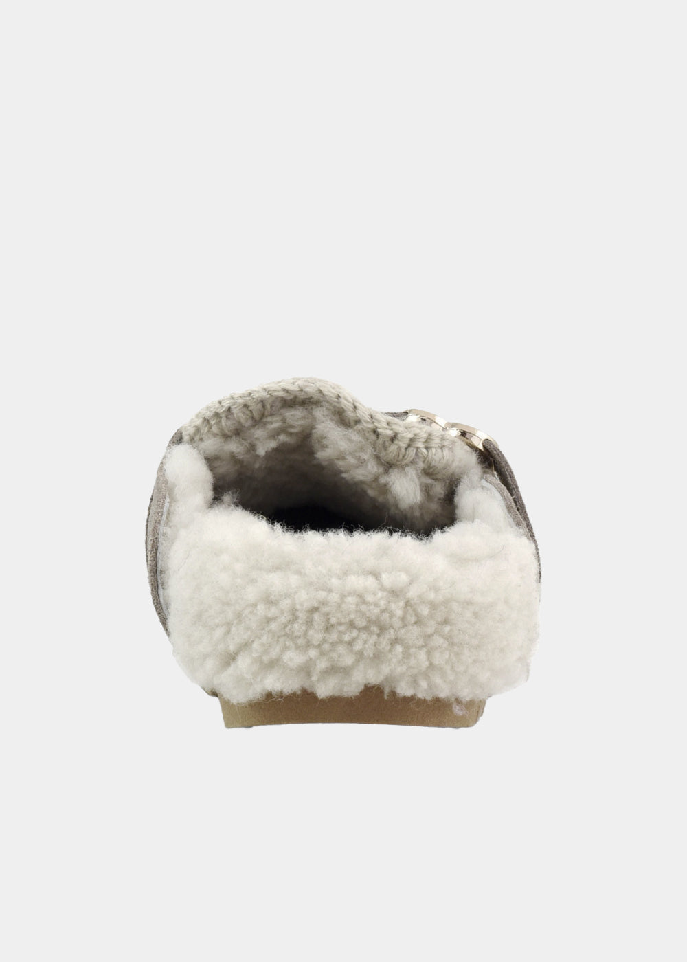 MULES MOU WINTER BIO SLIDE
