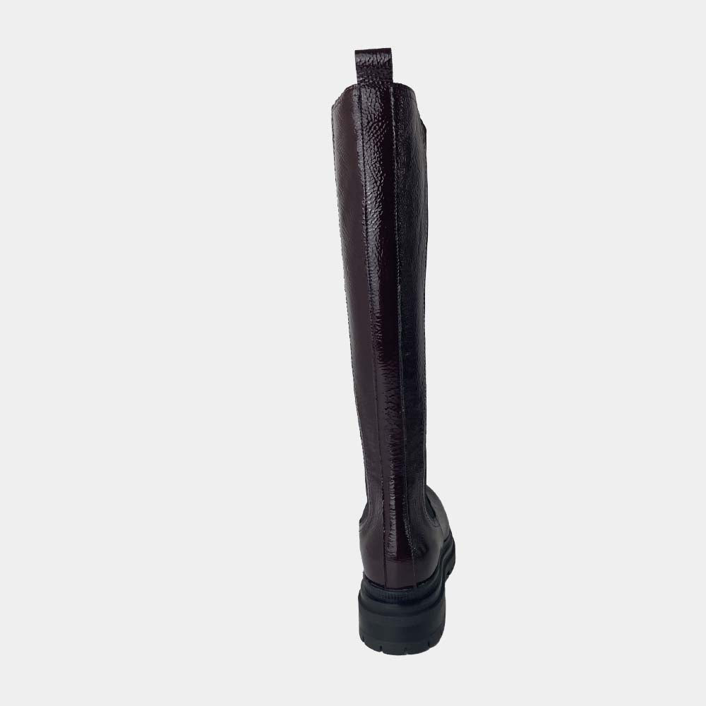 BOTTES CLIO TUIL IRON-ANNIKA
