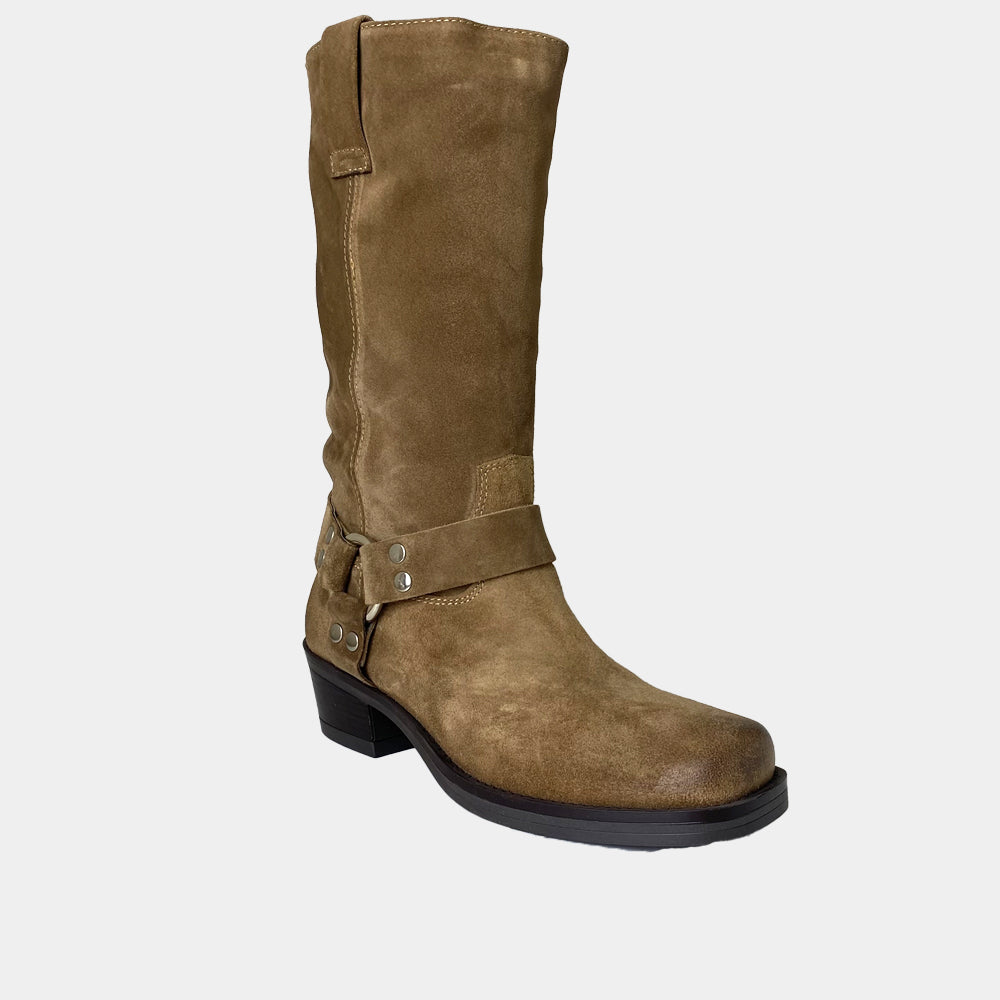 BOTTES ANN TUIL MEDIA