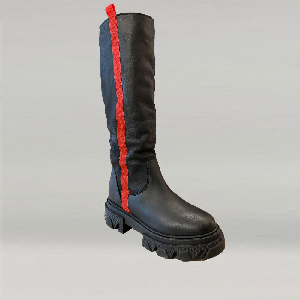 BOTTES ANN TUIL FOSTER