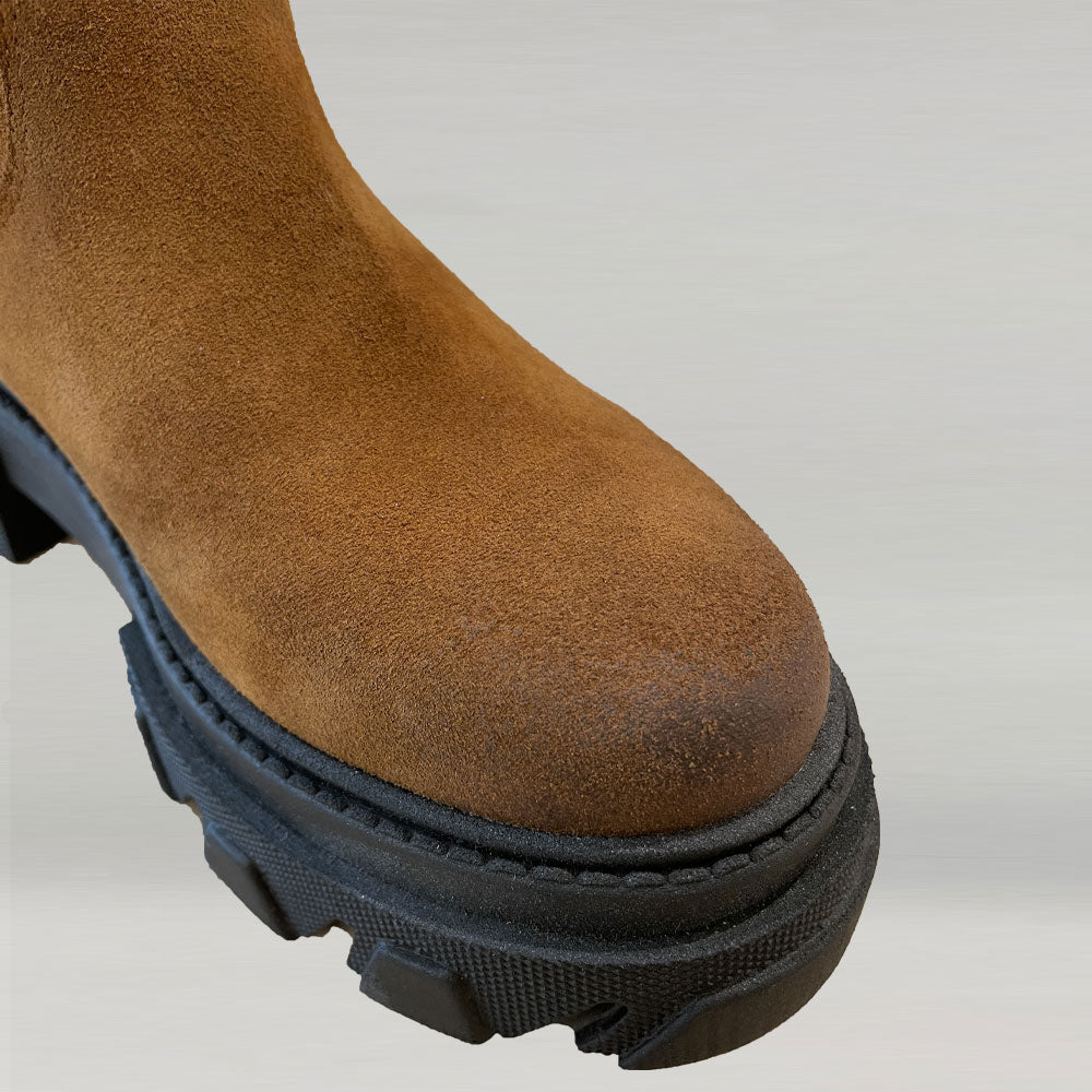 BOTTES ANN TUIL FOSTER