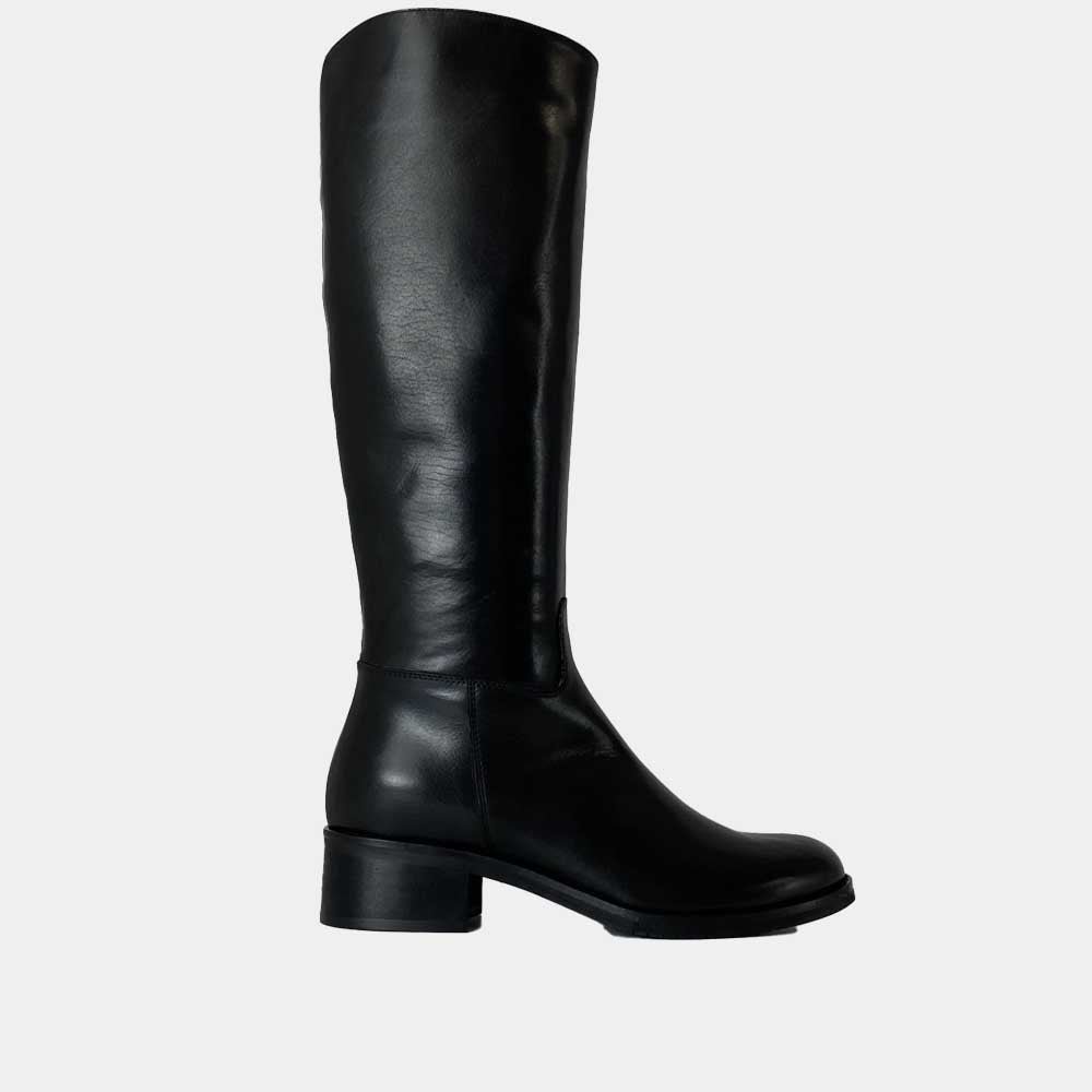 BOTTES ANN TUIL MOOD