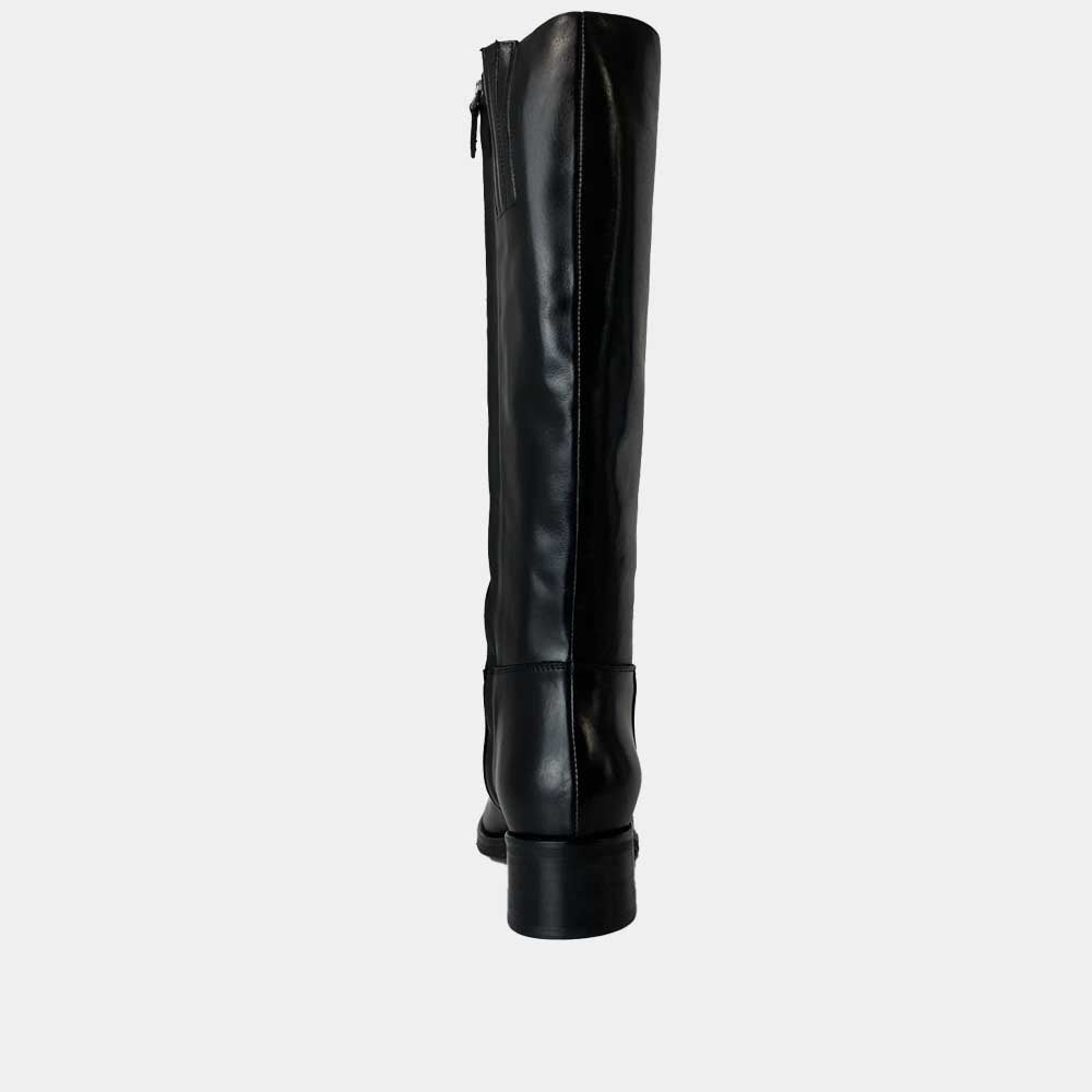 BOTTES ANN TUIL MOOD