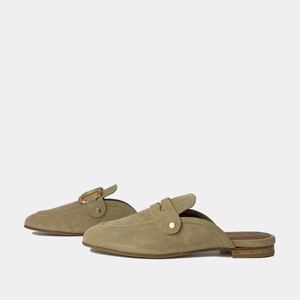MULES ANN TUIL STORY