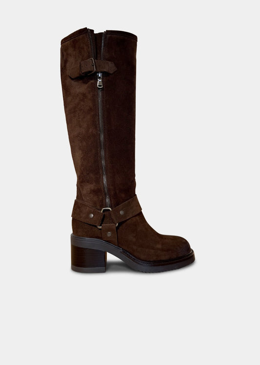 BOTTES ANN TUIL MARISSA