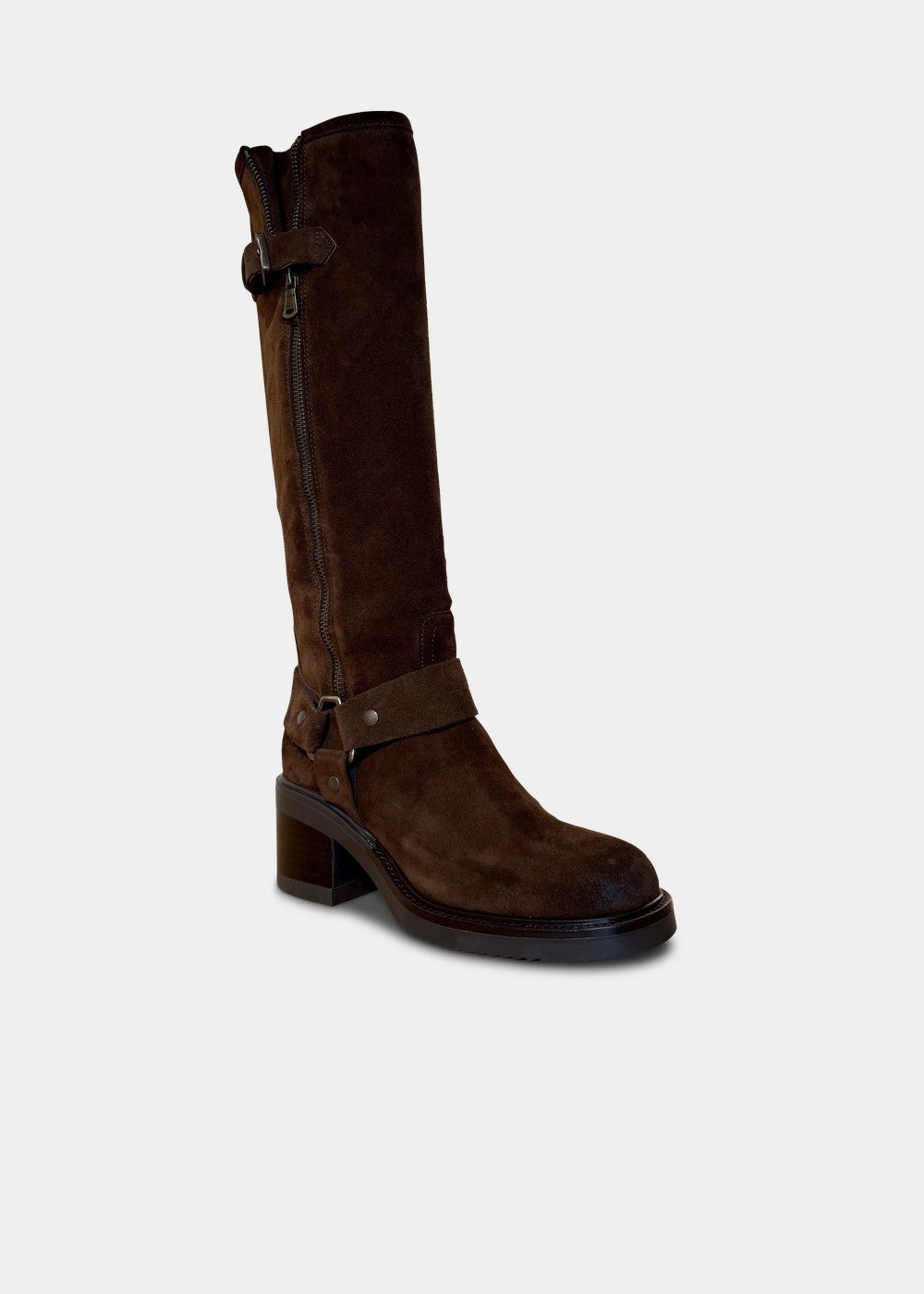 BOTTES ANN TUIL MARISSA