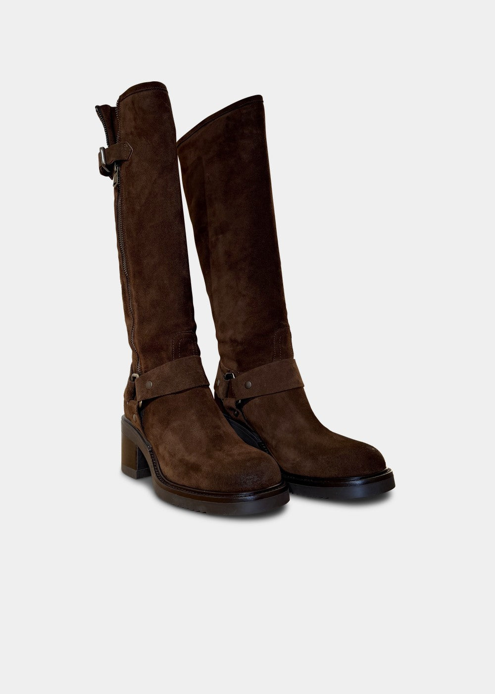 BOTTES ANN TUIL MARISSA