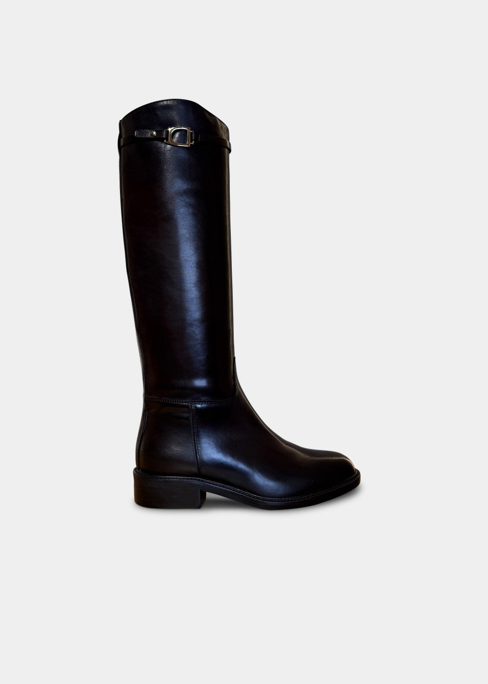 BOTTES ANN TUIL MAURANE
