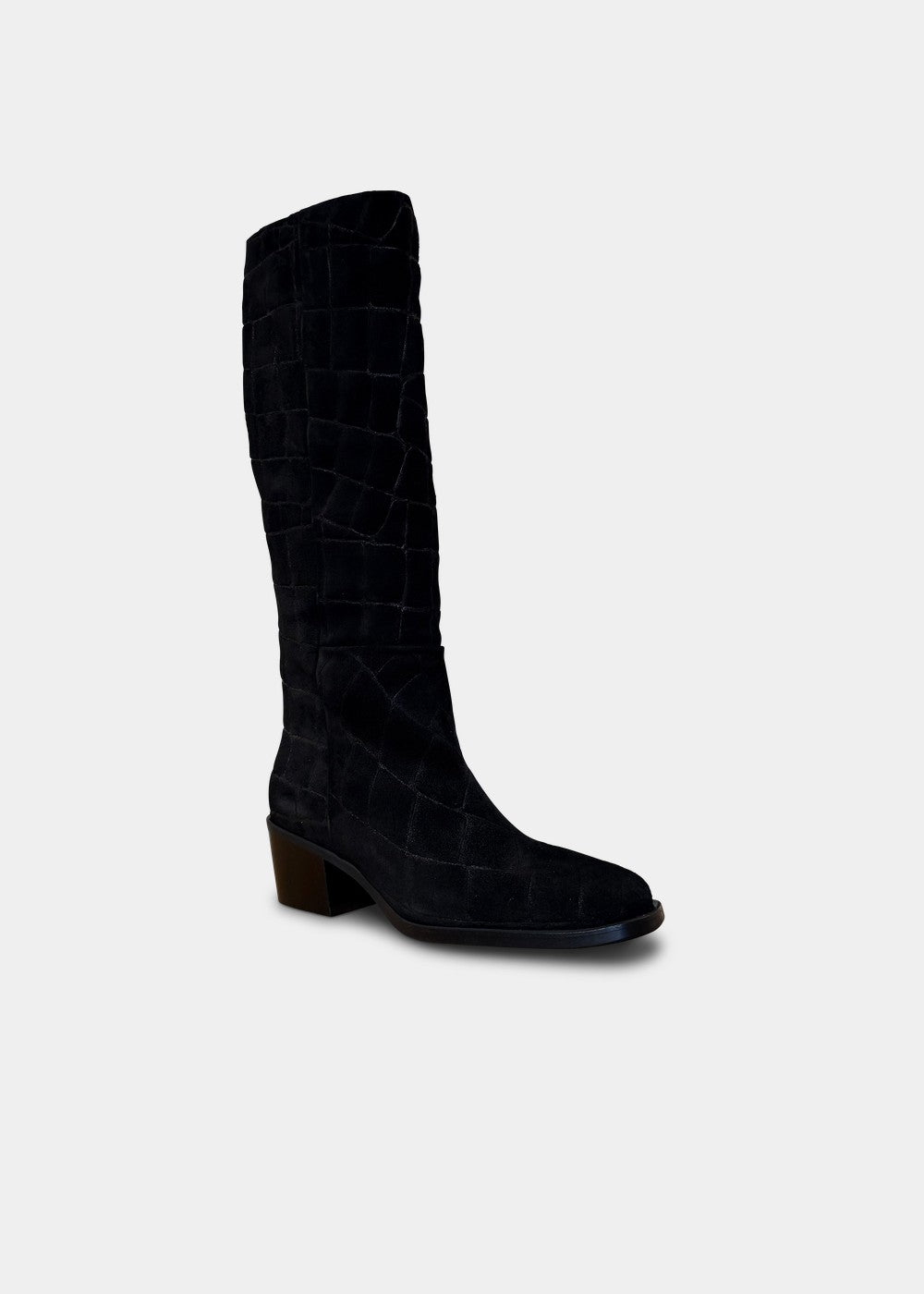 BOTTES ANN TUIL MERLINE