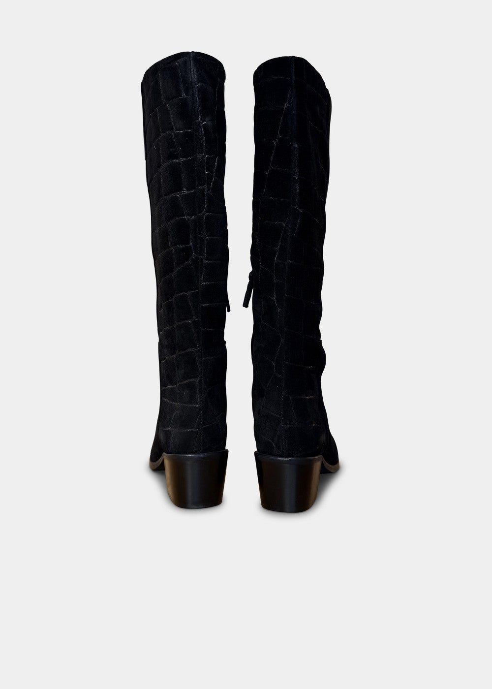 BOTTES ANN TUIL MERLINE