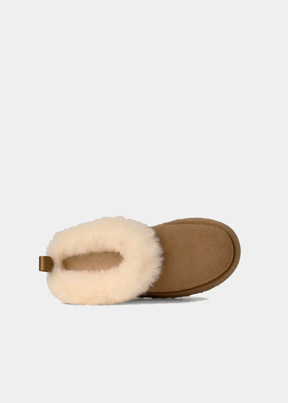 MULES PLATFORM UGG TAZZELLE