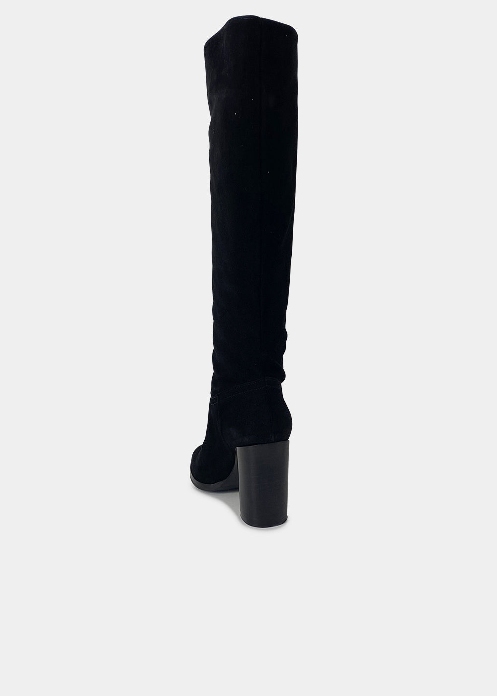 BOTTES ANN TUIL MICKEY